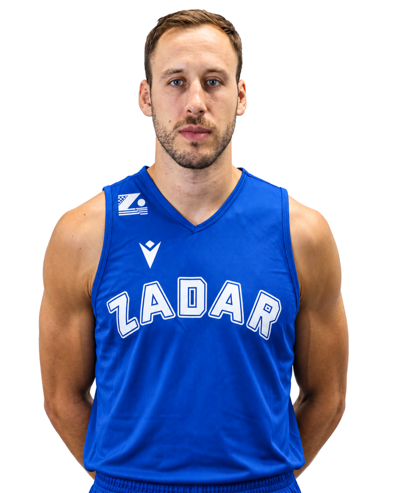 Vladimir Mihailović